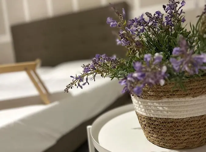 Bed & Breakfast Casa La Cava *